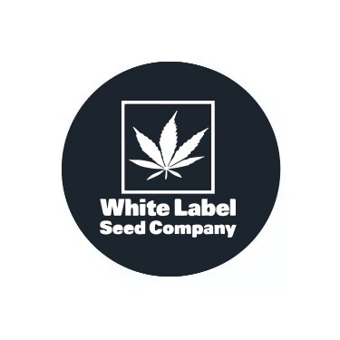 White Label auto